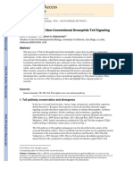 Conventional and Non-Conventional Drosophila Toll Signaling 2