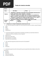 Guía para La Prueba Ciencias 6°