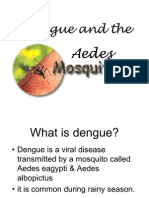 Dengu Awareness Month Lecture 2006