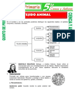 Tejido Animal para Quinto de Primaria