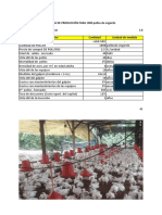 Costos Del Proyecto de Pollos de Engorde