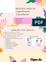 Exposicion Biologia - Grupo 2