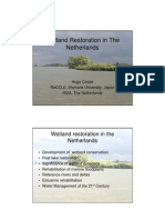 Wetland Restoration in The Netherlands