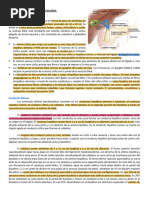 9.semiología de Vesícula y Vías Biliares