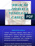 Vascularização Cabeça