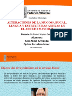 Alteraciones de La Mucosa Bucal, Lengua y Estructuras Anexas en El Adulto Mayor Ii