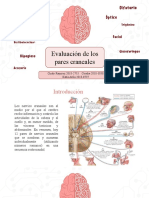 Exploracion de Los NC 1