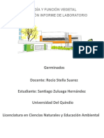 Germinacion de Lentejas