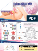 Virus Del Papiloma Humano