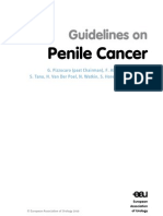 Penile Cancer 2010