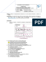 Cálculo Del Ciclo Menstrual Femenino