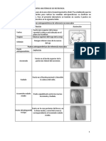 Act. Practica Antropometría Imprimir