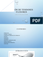 Lesion de Tendones Flexores