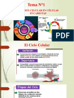 Power Point Listo Sobre El Ciclo Celular y La Mitosis