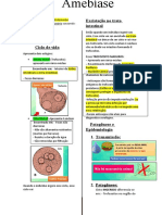 Amebiase Resumo