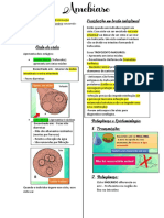 Amebiase Resumo