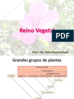 Reino Vegetal