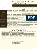 Cuadro Comparativo Célula Procariota y Eucariota