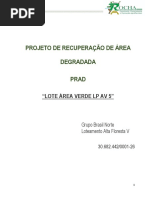 PRAD - Grupo Brasil Norte - Lote Área Verde-Etapa V