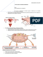 Patologias Benignas e Malignas Do Ovário