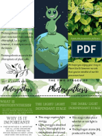 Photosynthesis Brochure