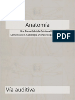 Anatomía: Dra. Diana Gabriela Quintana Rico Comunicación, Audiología, Otoneurología y Foniatría