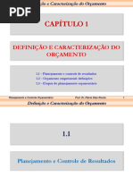 Capítulo 1 - Definição e Caracterização Do Orçamento