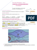 6 - Sistema Nervoso Autônomo Simpático