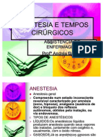 Anestesia e Tempos Cirúrgicos