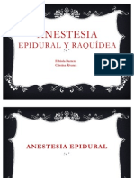 Anestesia Epidural y Raquidea