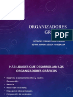 3 Organizadores Gráficos1