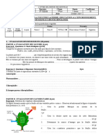 1ère Séq Svteehb 2nde A (Lybibo) 2019