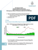 Situacion Epidemiologica de Arbovirosis S.E 33