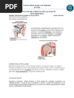 Articulacion Humeral