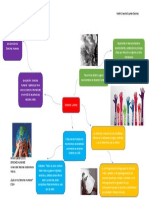 Derechos Humanos