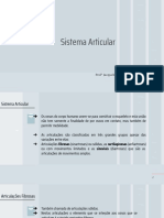 6 - Sistema Articular