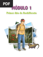 Modulo 1 Primer Ano de Bachillerato Resuelto