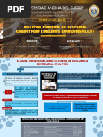 Delitos Contra El Sistema Crediticio (Delitos Concursales)