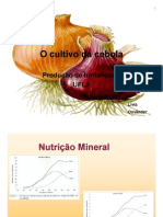 O Cultivo Da Cebola (Modo de Compatibilidade