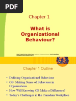 Chapter 1-What Is Organizational Behaviour