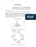 Bacteriofagos