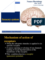 Sensory System-2