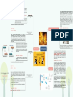 Mapa Mental de Combustion