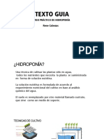 Texto Hidroponia Del Curso de Hidroponia