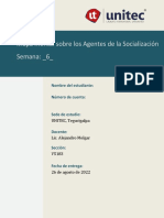 S6 - Agentes de La Socialización