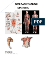 Anatomi Dan Fisiologi Manusia 1