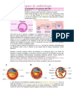 Repaso de Embriología