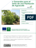 Criterios Generales para El Establecimiento de Una Plantacion de Aguacate - 2