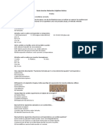 8-04ev Formativa Sust. Puras...