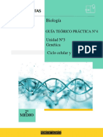 Guia 2do M Mitosis Preupdv